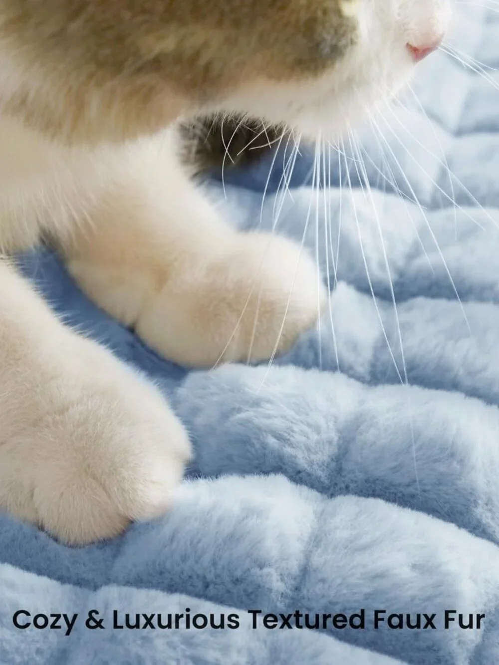 Cute Cat Couch Bed for Indoor Cats